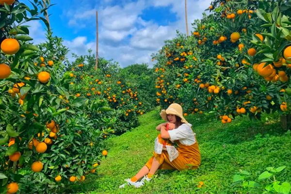 khach-san-minh-minh-nam-can-tho, du-lich-can-tho-chi-can-nho-9-diem-den-nay-la-du-vui-het-nac